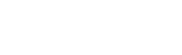 Walt Disney World Overview